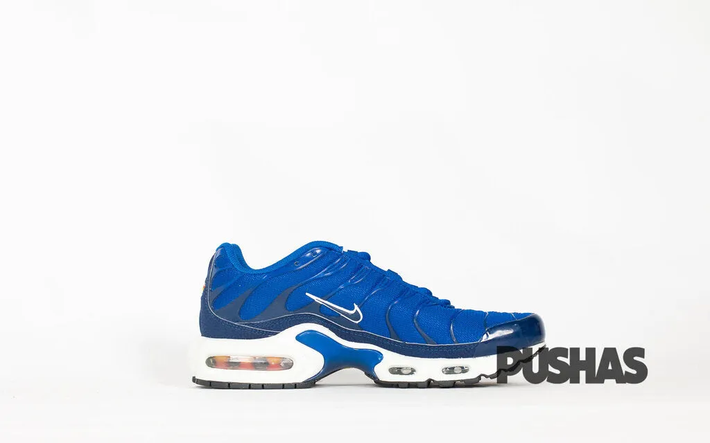 Air Max TN Plus 'Indigo Force'