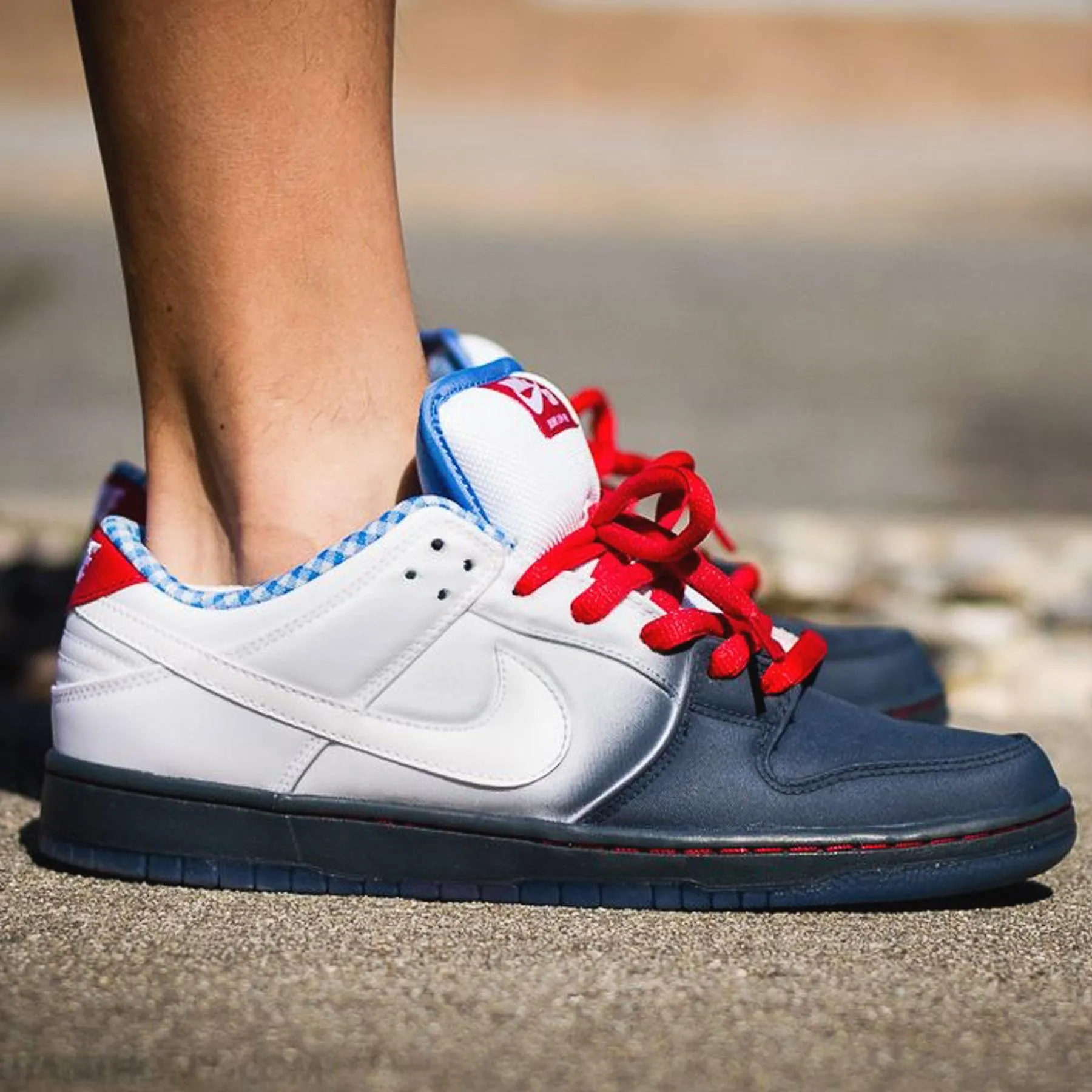 Nike Dunk Low Premium SB 'Dorothy'